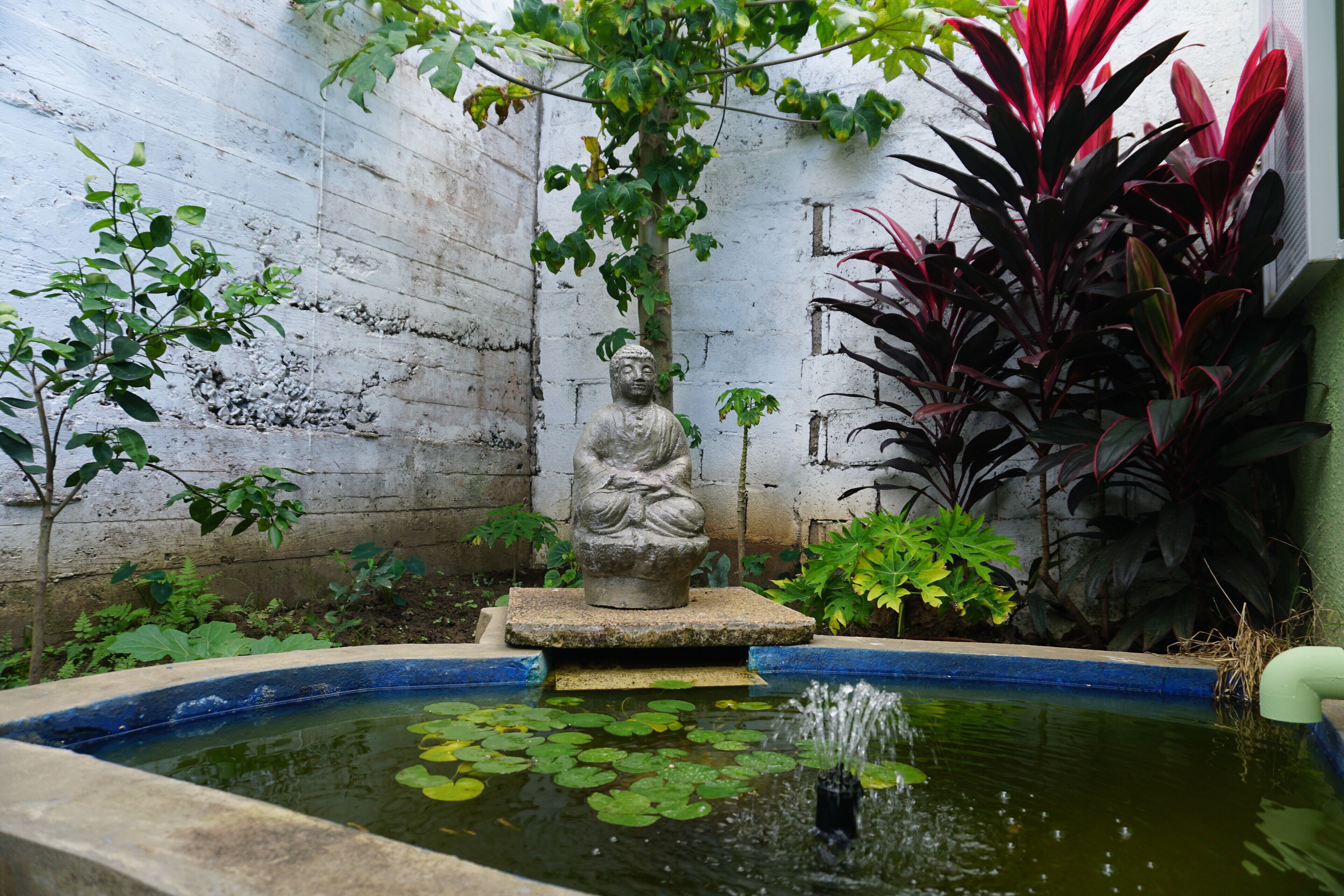 honeymoon apartment, 1 king bed, non smoking, garden view | terrace/patio