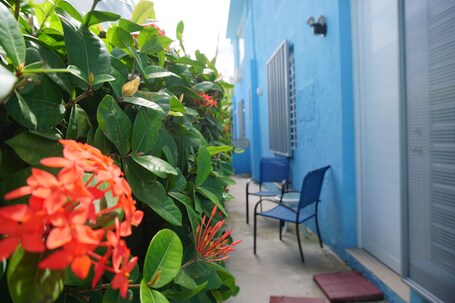 La Esmeralda PR - Image 116