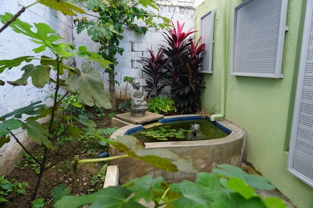 La Esmeralda PR - Image 87
