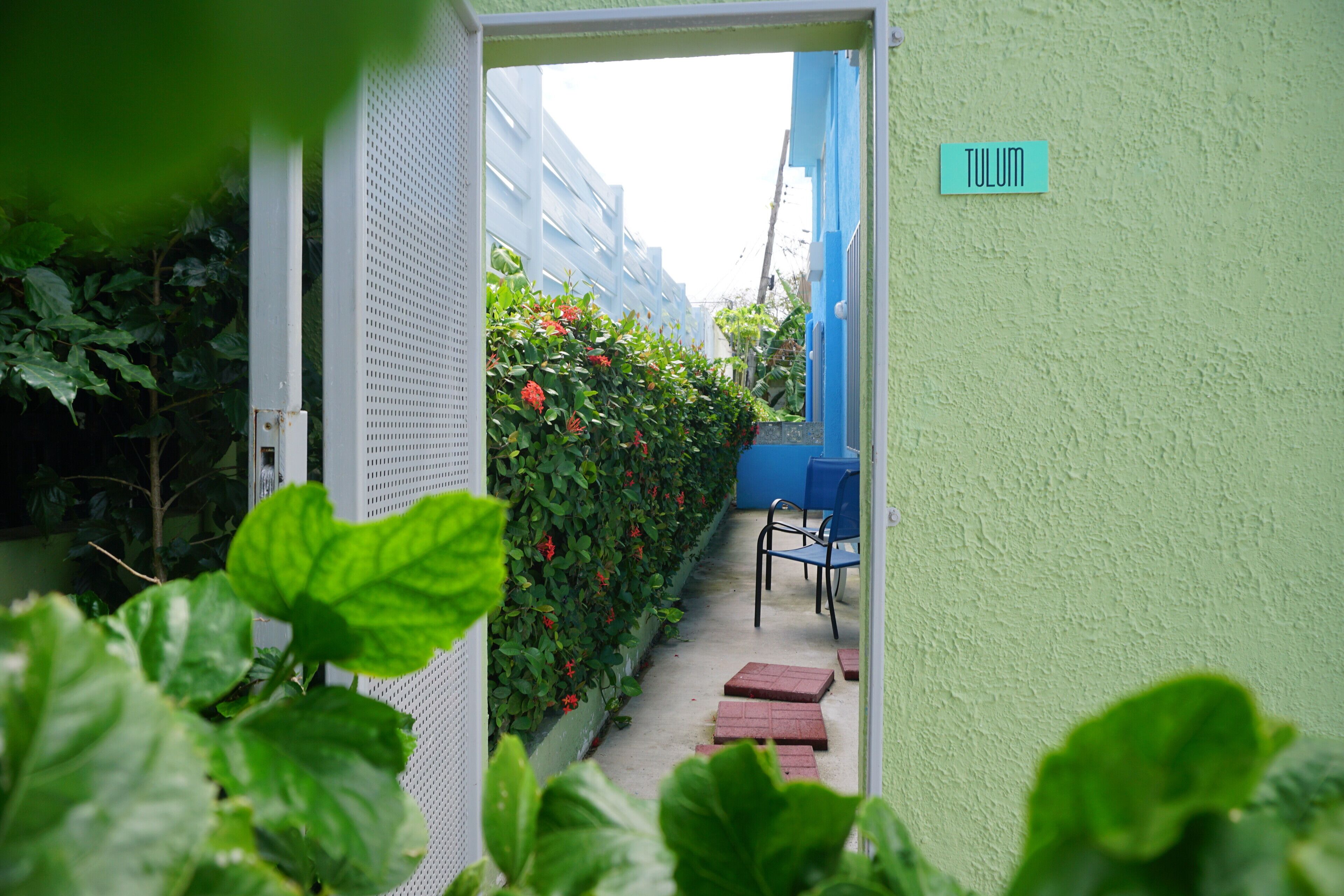 Un étroit couloir extérieur agrémenté d’un mur végétal, d’une chaise bleue et d’un panneau indiquant « TULUM ».