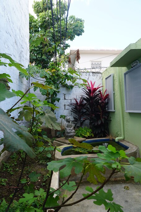La Esmeralda PR - Image 102