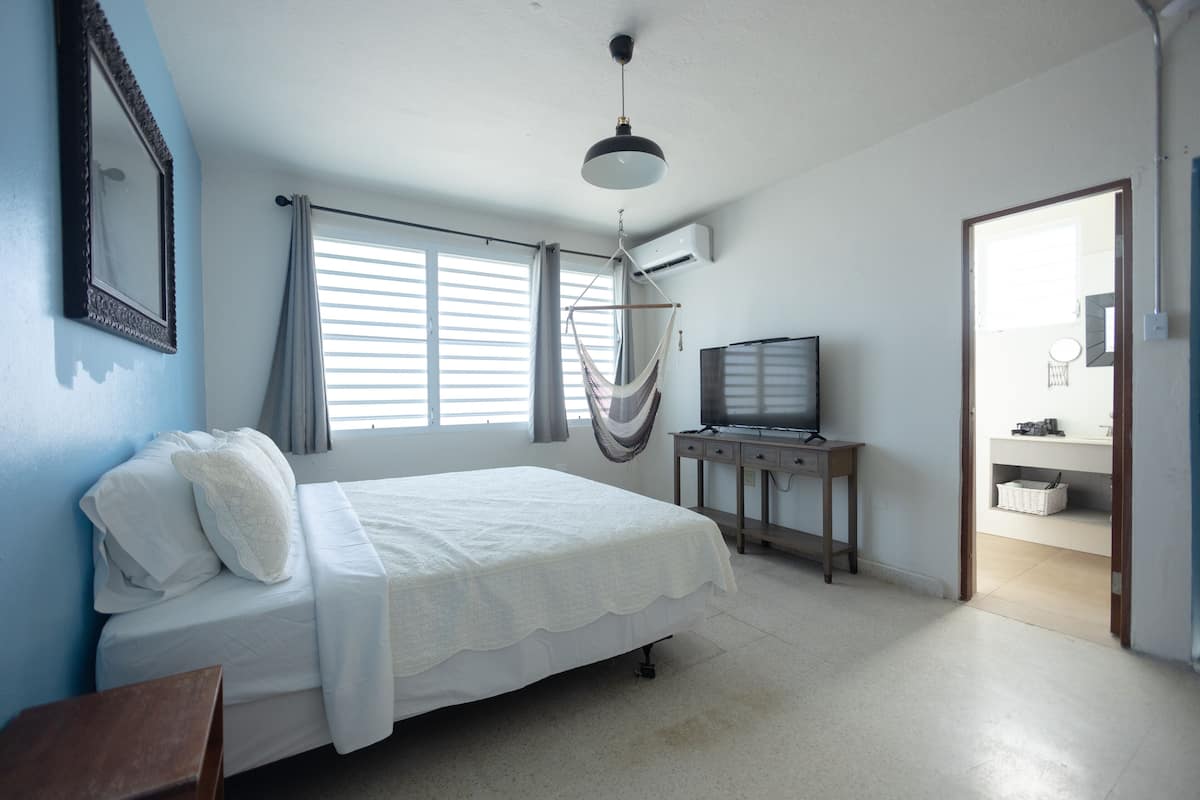 A bedroom with a bed, a TV, a desk, and a hammock.