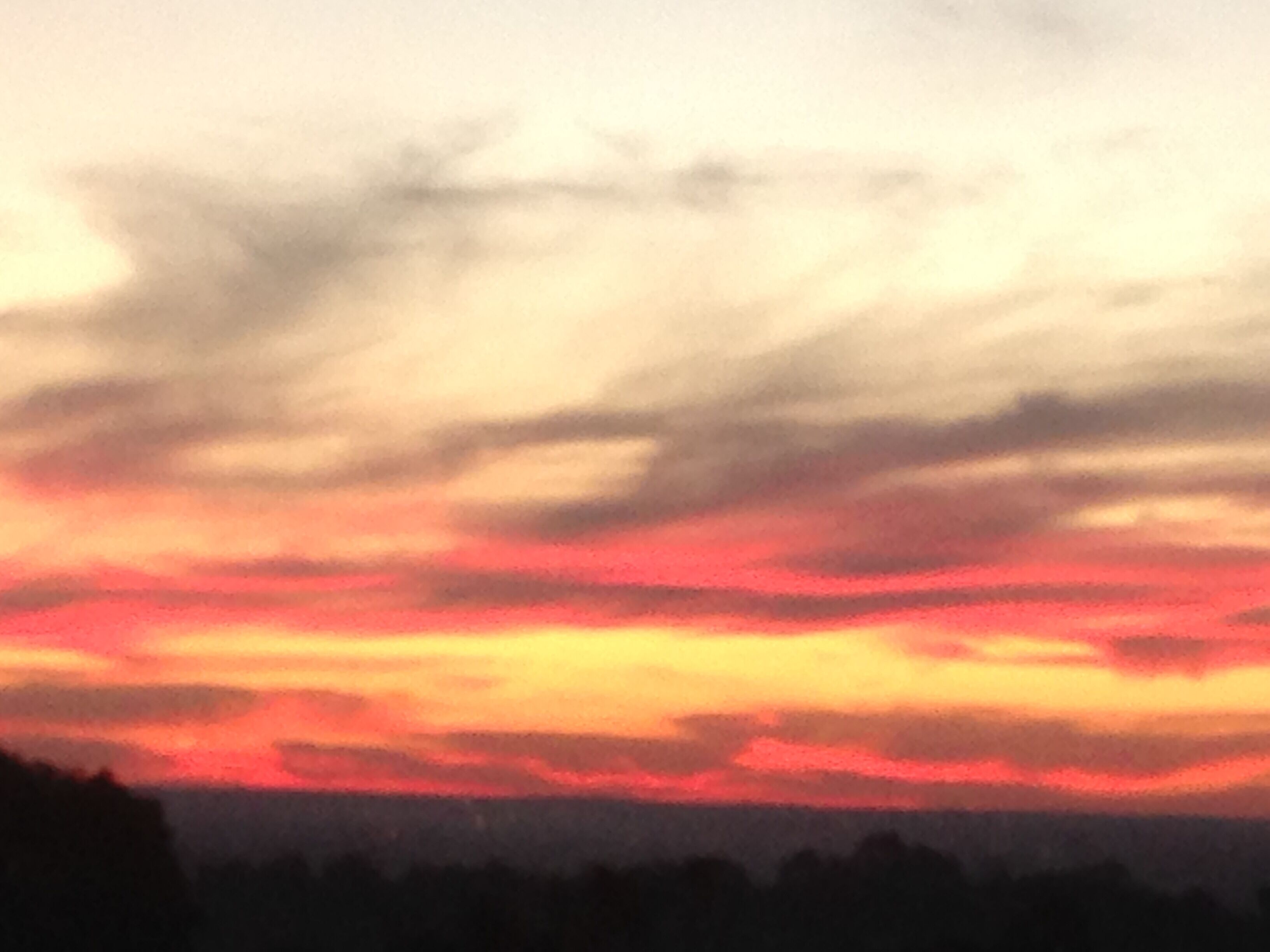 Bright & Beautiful Home on the Hills! — image 6