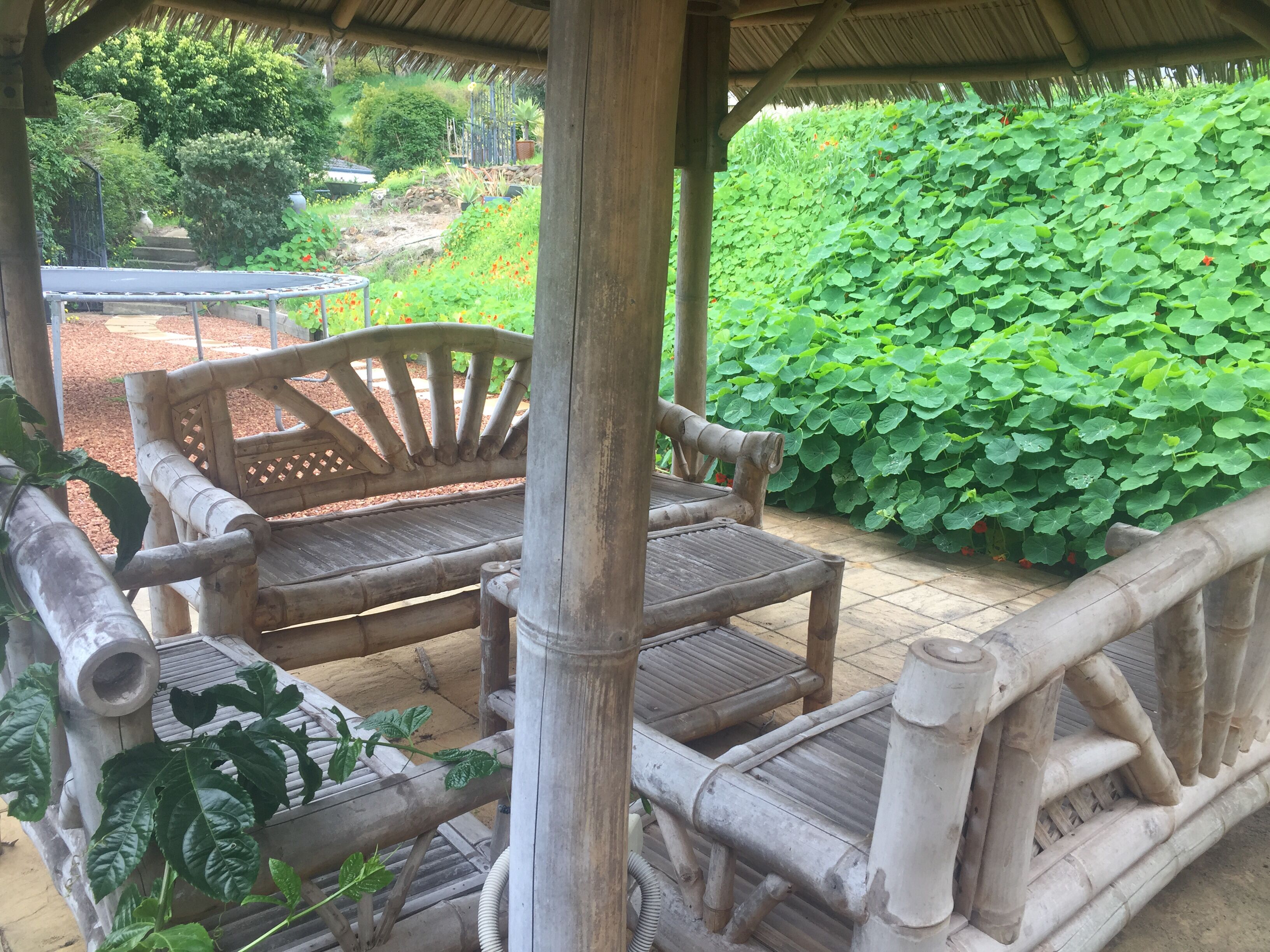 Bright & Beautiful Home on the Hills! — image 22