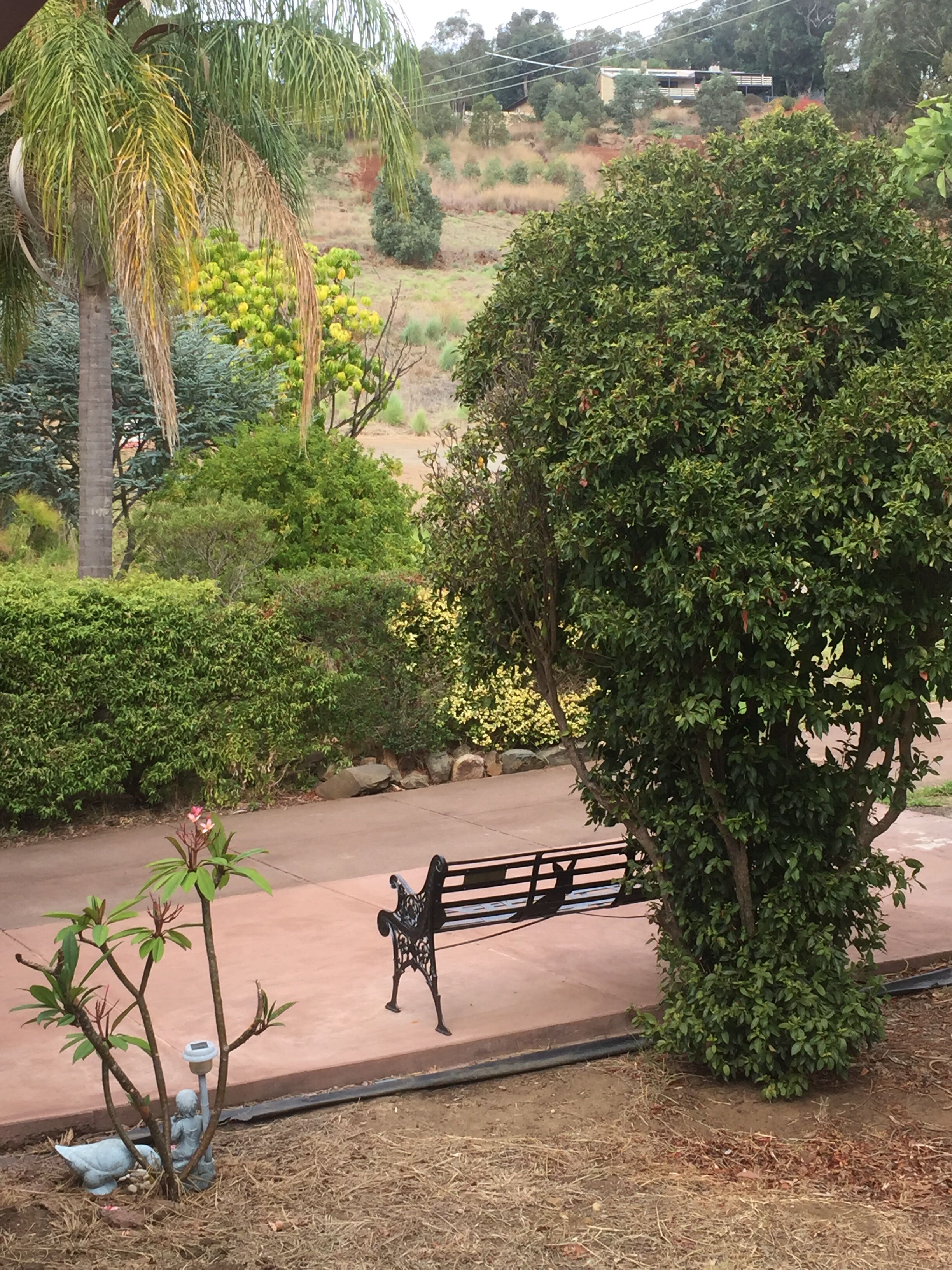 Bright & Beautiful Home on the Hills! — image 24