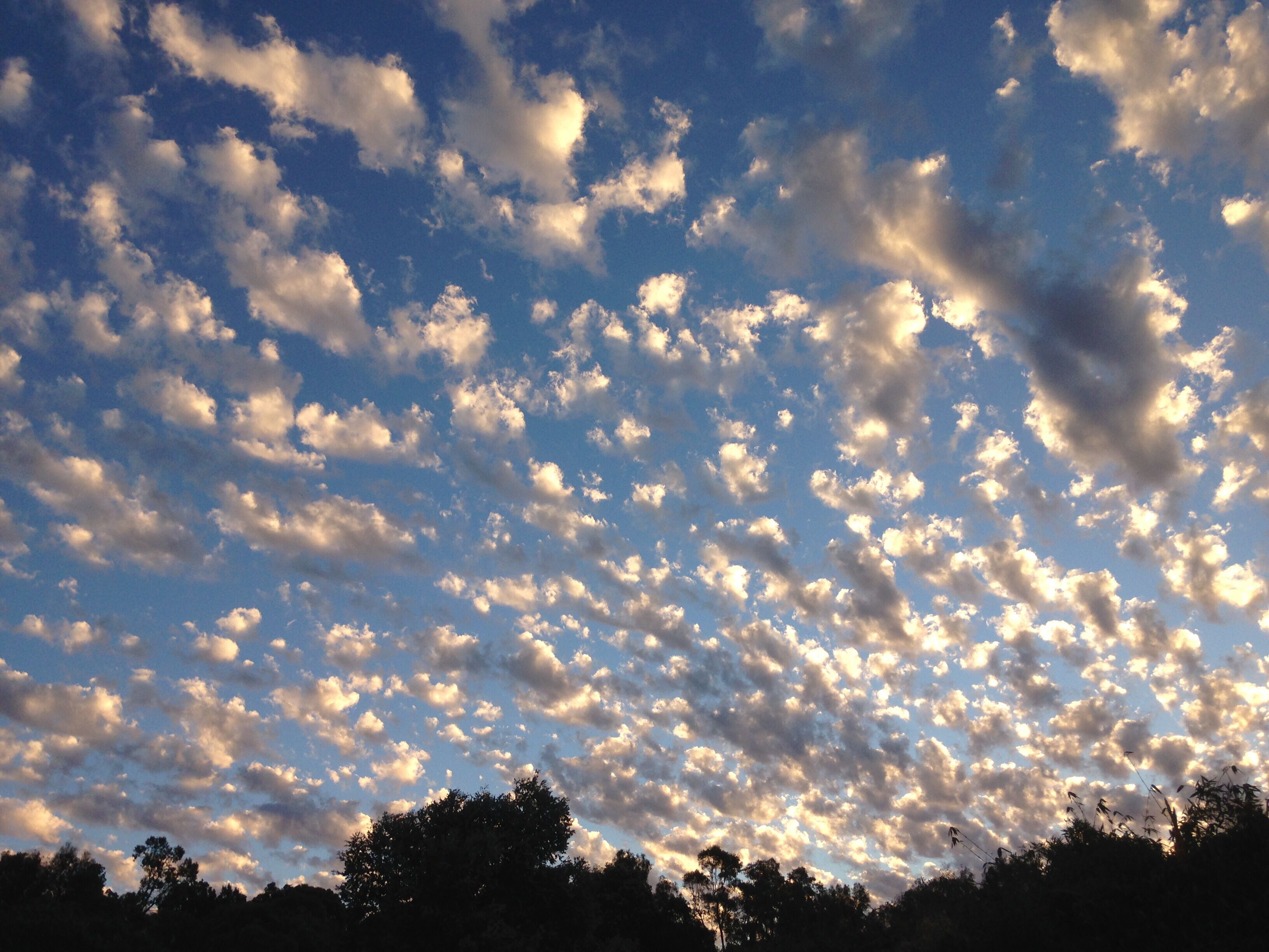 Bright & Beautiful Home on the Hills! — image 5