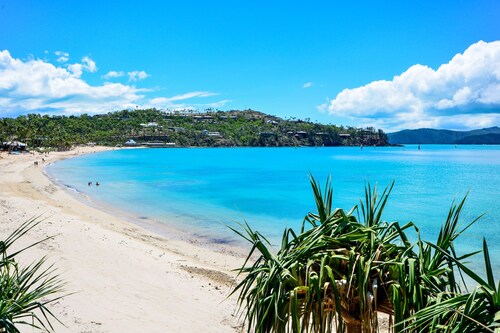 Superior Poinciana 011 Hamilton Islandilla