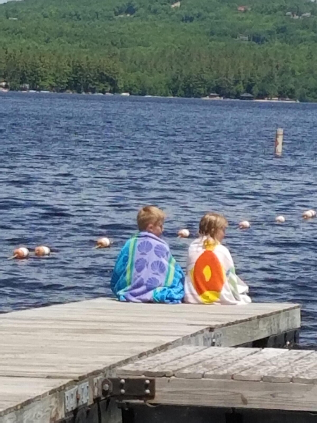 Värdens profilbild