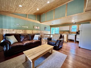 Flat-screen TV, video games, DVD player, books