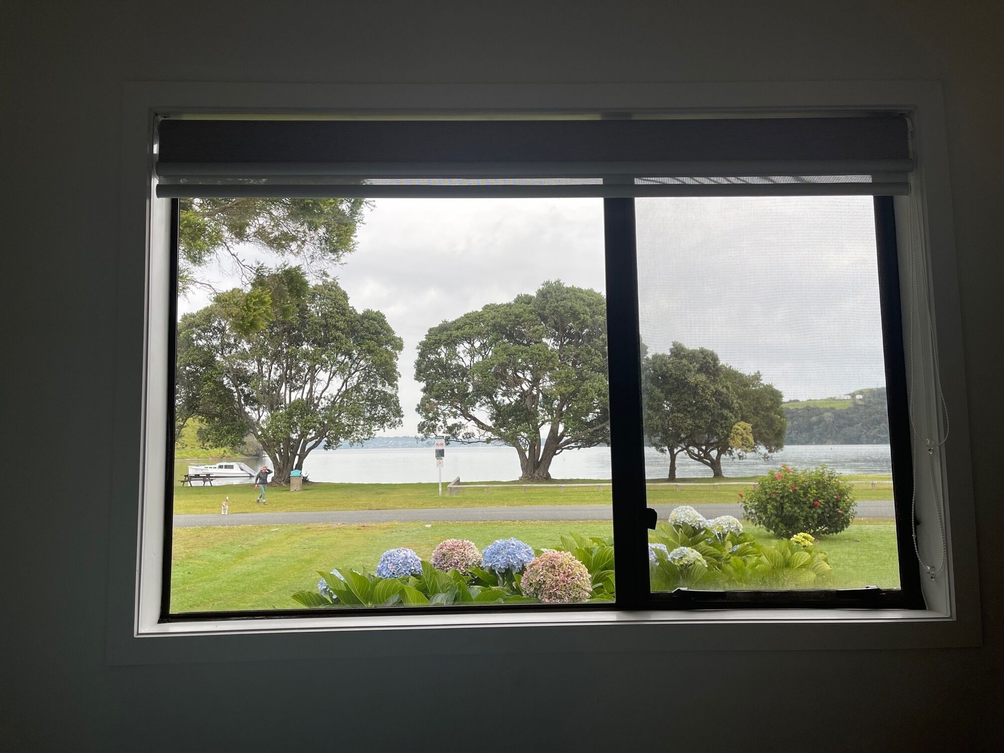 A window with a view of a park, trees, and a body of water.