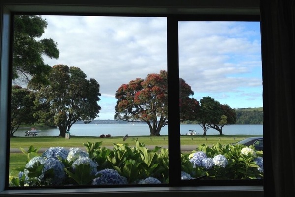 View from dining table