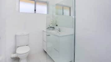 Shower, free toiletries, hair dryer, towels