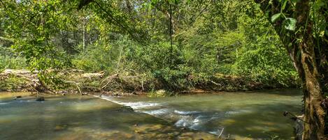 A natural river scene with clear water, surrounded by dense greenery and trees.
