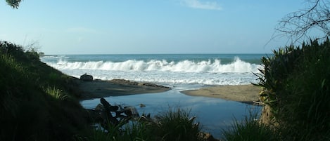 海灘