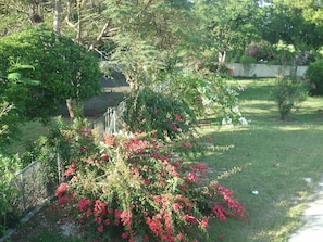 Stroll through this serene garden, surrounded by lush trees and vibrant flowers.