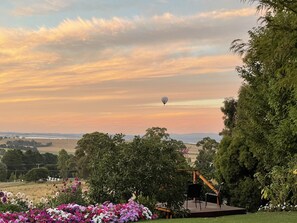 Property grounds - the studio - yarra valley (Dixons Creek)