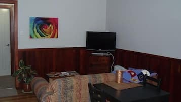 TV, DVD player, books, video library