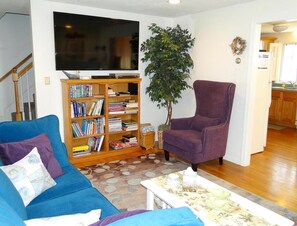 Smart TV, lareira, DVD player, livros