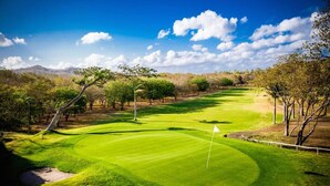 Ein Golfplatz mit Fahnenstange, Bäumen und blauem Himmel.