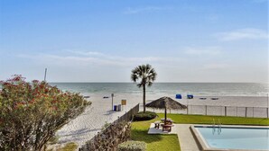 Uitzicht op een strand met een zwembad, ligbedden en een palmboom.
