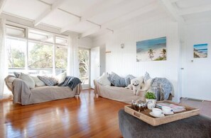 Télévision, lecteur de DVD, jouets, livres