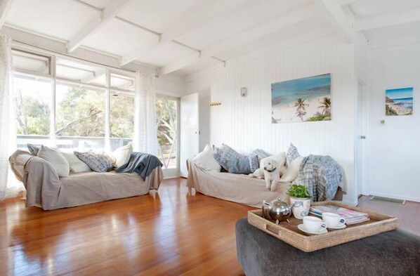 TV, DVD player, toys, books