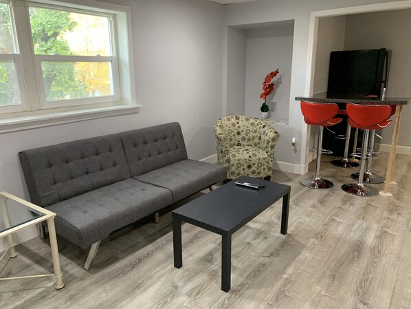 Televisión de pantalla plana, Netflix y servicios de streaming 