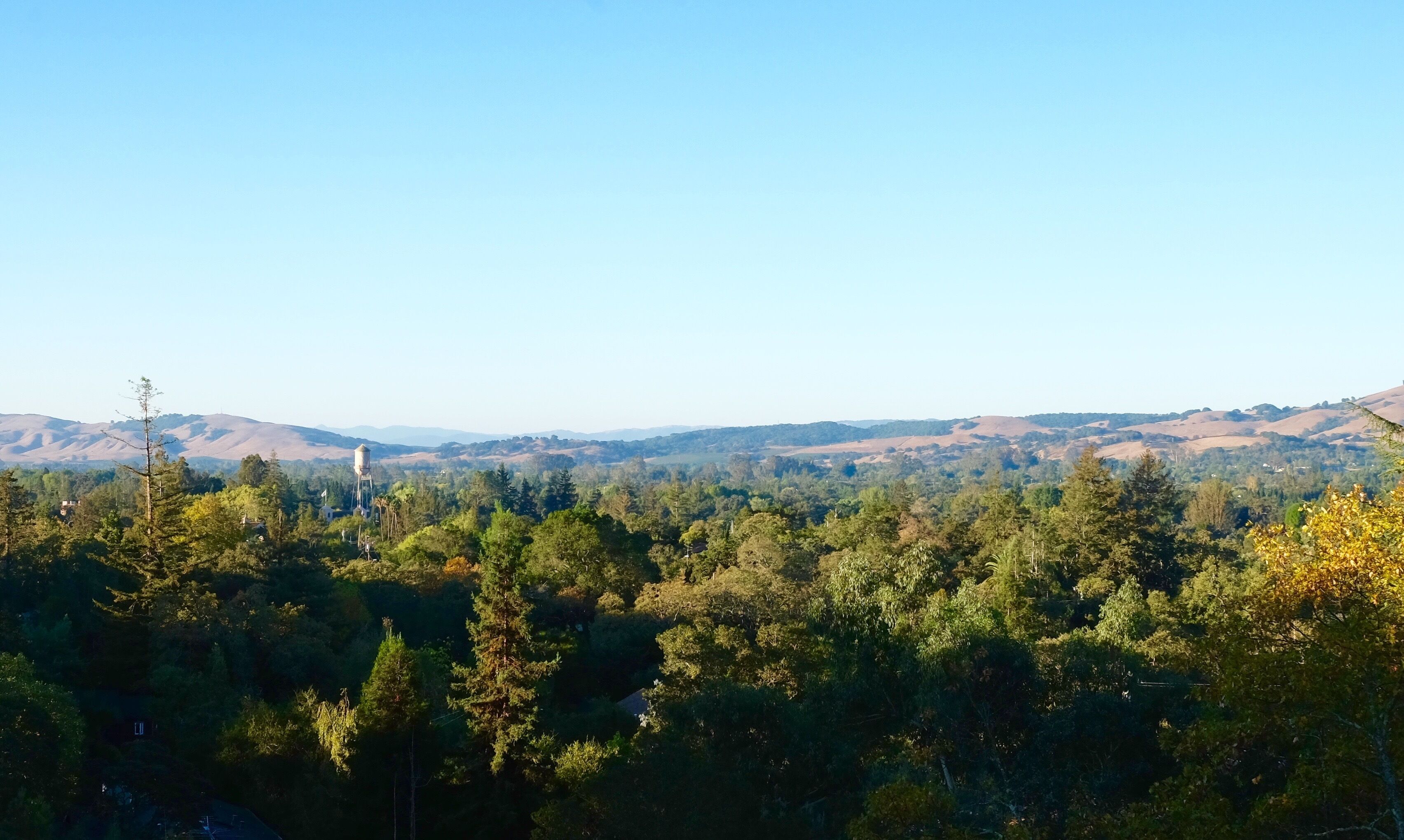 Paisagem arborizada com uma torre de água e colinas ao longe.