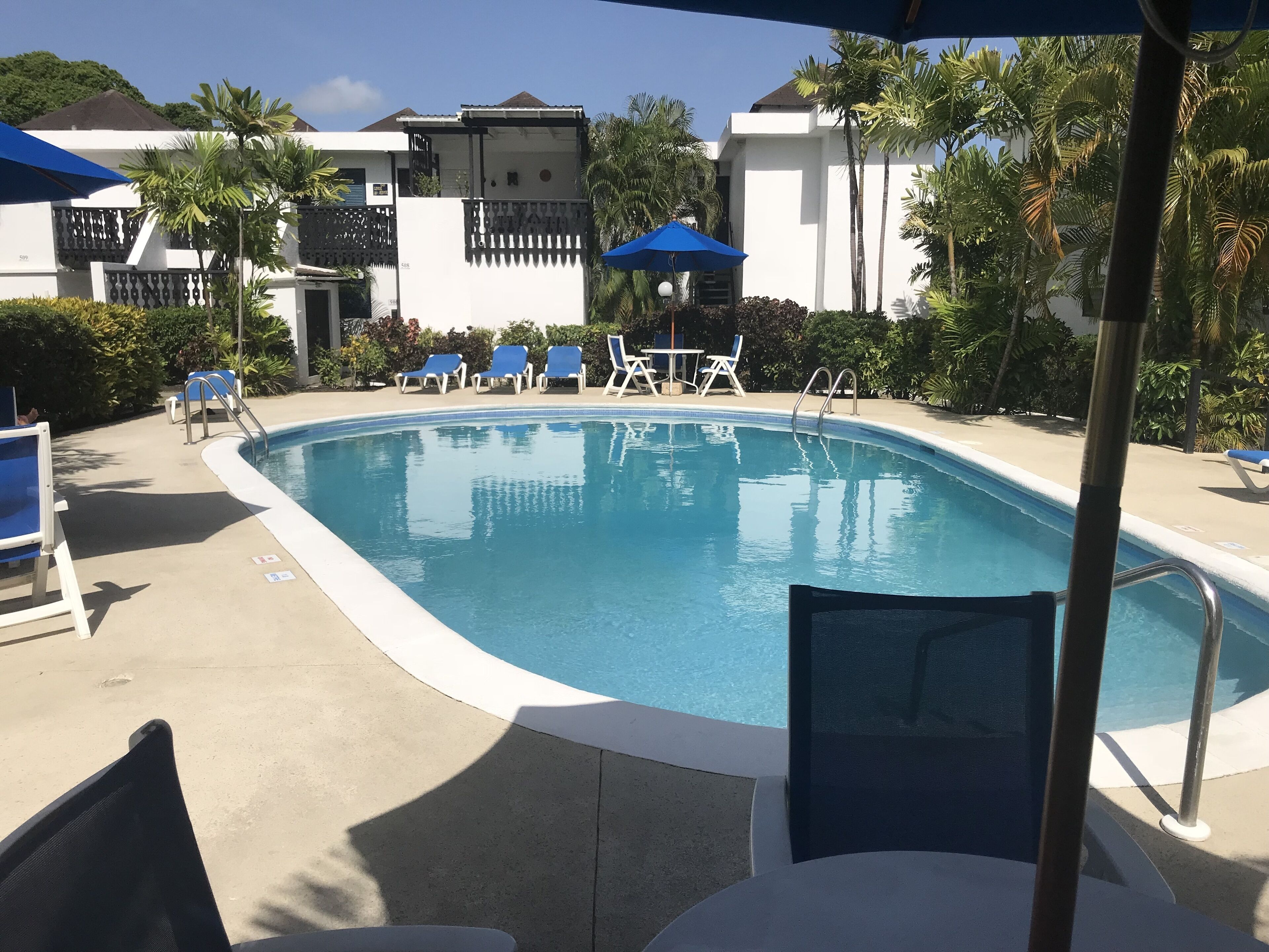 A swimming pool with lounge chairs and umbrellas, surrounded by palm trees and buildings.