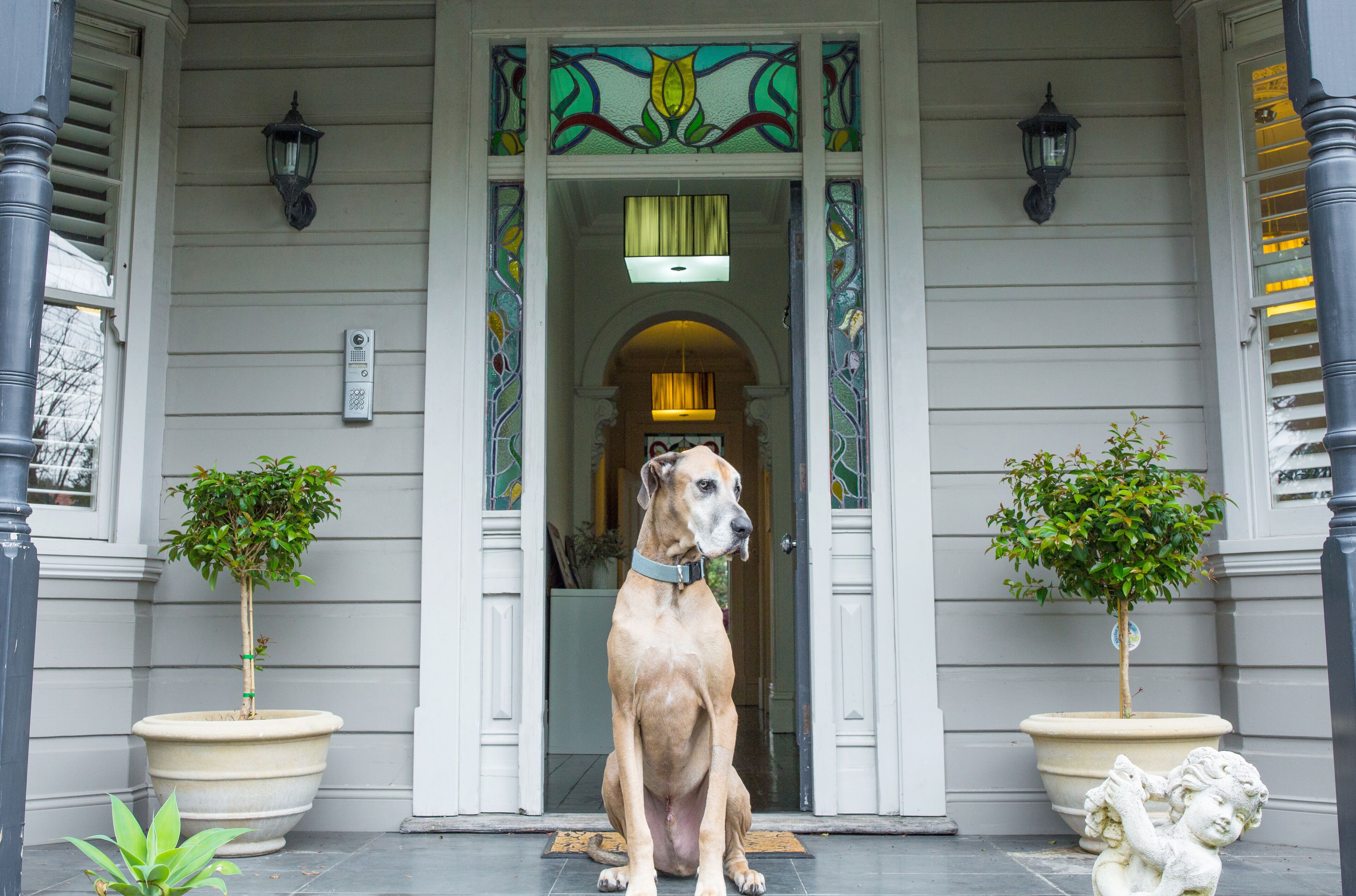 Alegria @ Mosman State of the Art Luxury — image 28