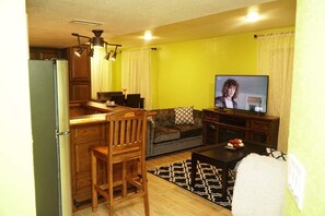 TV, fireplace, DVD player, video library - Cozy Walkout Basement Near Denver International Airport Bis..#2022-BFN-0022402 (Denver)
