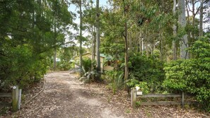 A forested area with a dirt path leading to a building with a green roof. - Beachwood  on  Casey (Mystery Bay)