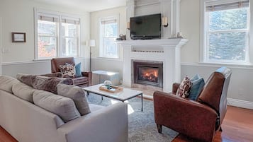 TV connectée, cheminée, lecteur de DVD, chaîne hi-fi