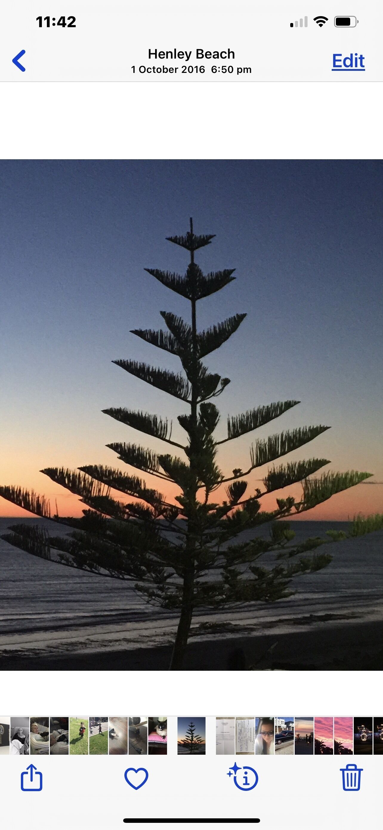 SUMMER BREEZE PETS WELCOME🏖️🌊 — image 5