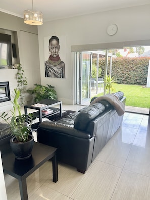 Smart TV, chimenea, Netflix y servicios de streaming