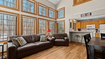 TV, fireplace, DVD player