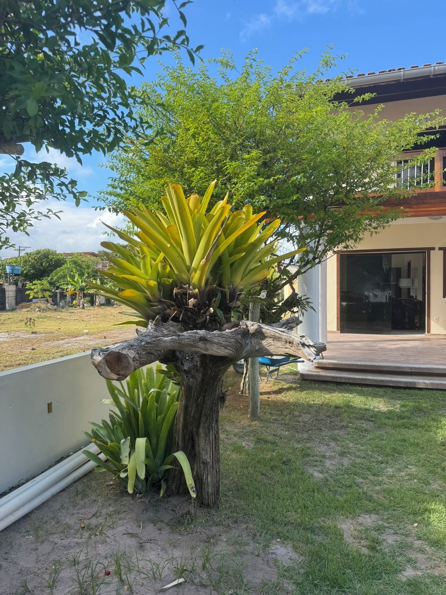 Área da propriedade