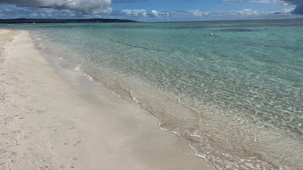 Ein Strand mit klarem türkisblauem Wasser, einem sandigen Ufer und einer entfernten Insel.