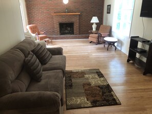 TV, fireplace, books