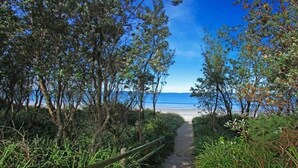 Een pad dat naar een strand leidt, omzoomd door weelderige begroeiing.