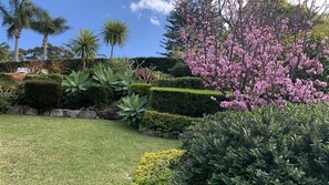 Property grounds - Alva Lee by Experience Jervis Bay (Vincentia)