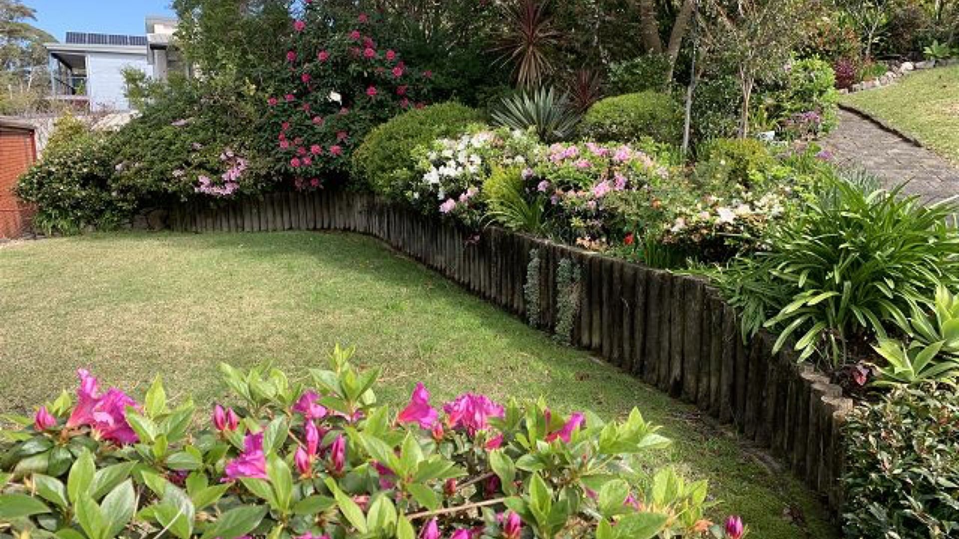 Un jardin aménagé avec une clôture en bois, différents arbustes et plantes à fleurs.