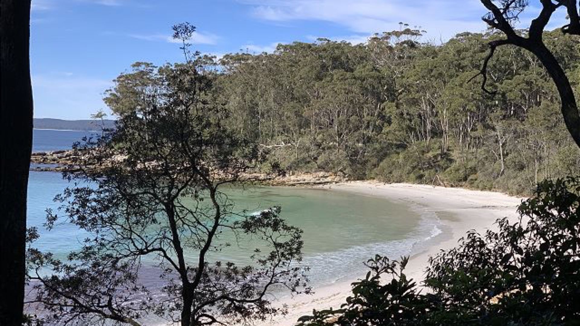 Una playa con aguas cristalinas, rodeada de un bosque frondoso.