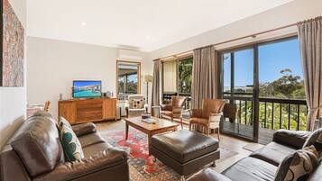 TV, video game console, DVD player, books