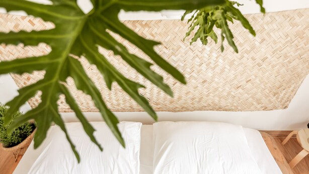 Een bed met witte lakens, een geweven hoofdbord en een potplant aan de linkerkant.