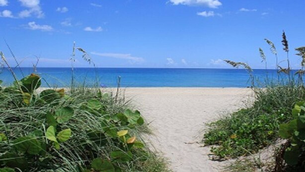 A beach pathway leading to the ocean with clear skies and calm waters. - Stuart Cottage II Pet Friendly, Remodeled, close to beach and quaint downtown (Stuart)