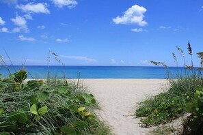 Un sentier bordant la plage, menant à l’océan, avec un ciel dégagé et une mer calme.