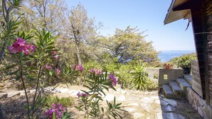A garden with stone pathways and flowering plants, leading to a wooden building with a view of the sea.