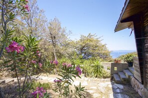 Property grounds - APP.TI CHALET INES SECCIONE - CHALET SECCIONE 2 (Portoferraio)
