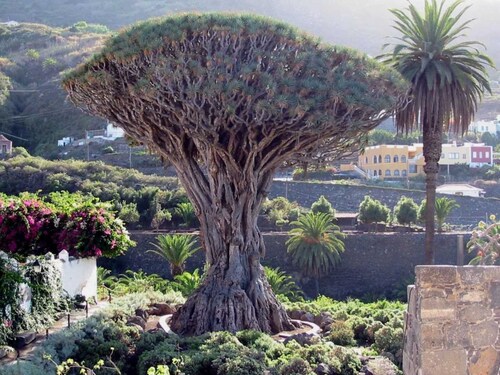 AMAZING VIEWS OF ATLANTIC & TEIDE WITH PRIVATE TERRACE , POOL & BBQ